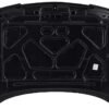 1978 Chevrolet Caprice front hood